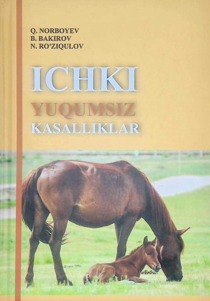 Ichki yuqumsiz kasalliklar