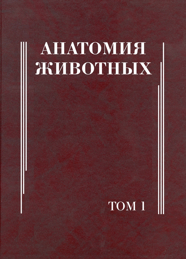 Анатомия животных