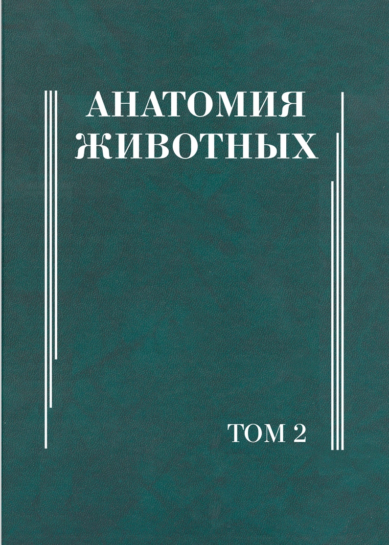 АнАтомия животных II