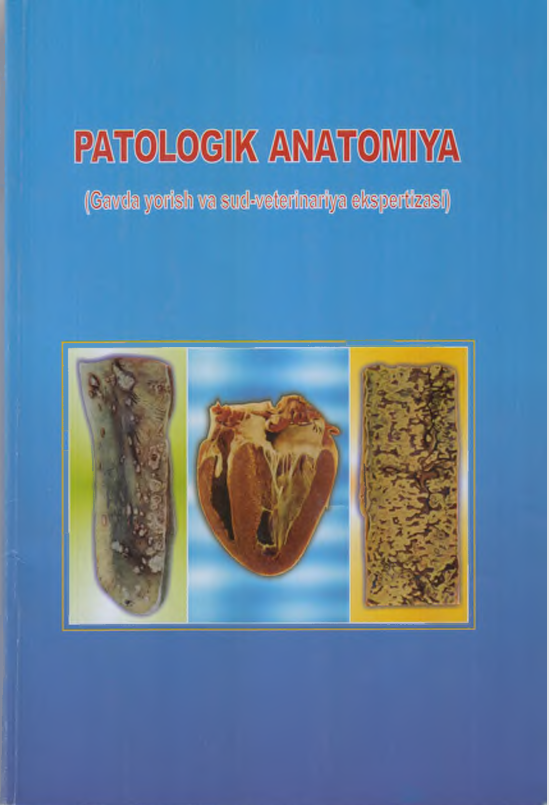Patalogiik anatomiya