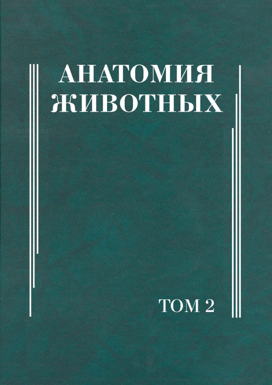 АнАтомия животных