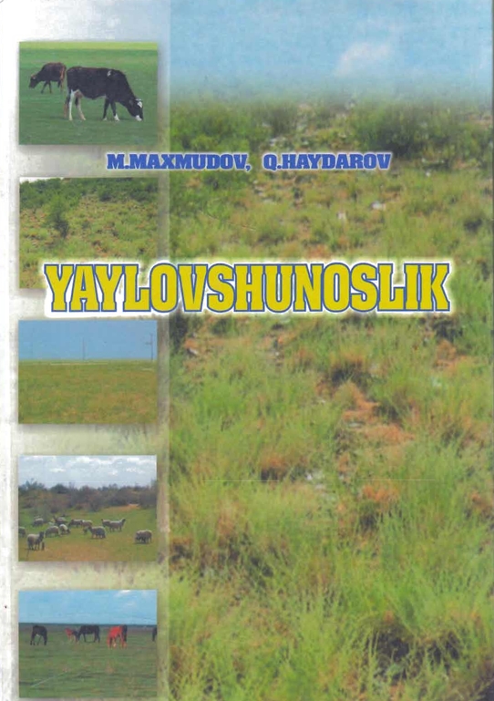 YAYLOVSHUNOSLIK
