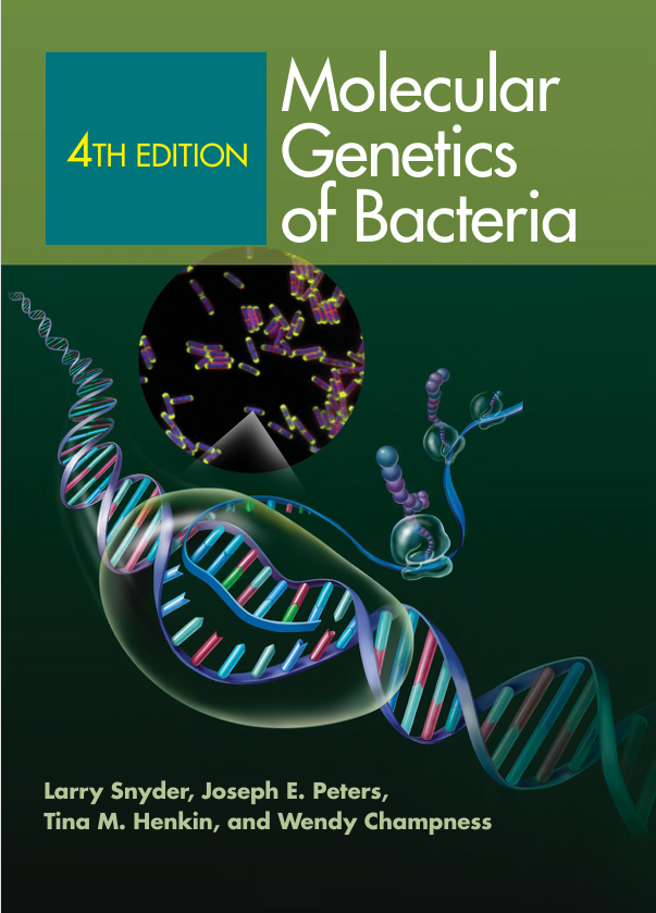 Molecular genetics of bacteria
