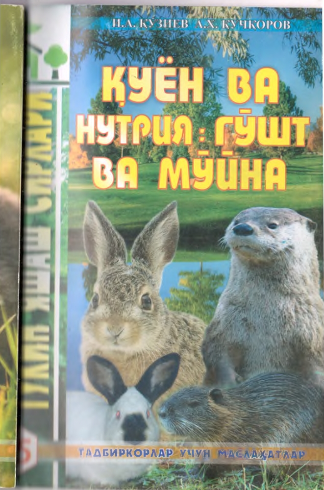 КУЁН ВА НУТРИЯ