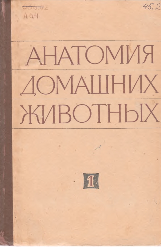 АНАТОМИЯ ДОМАШНИХ ЖИВОТНЫХ