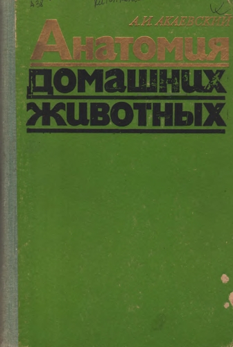 АНАТОМИЯ ДОМАШНИХ ЖИВОТНЫХ