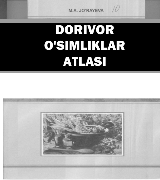 DORIVOR  O'SIMLIKLAR  ATLASI