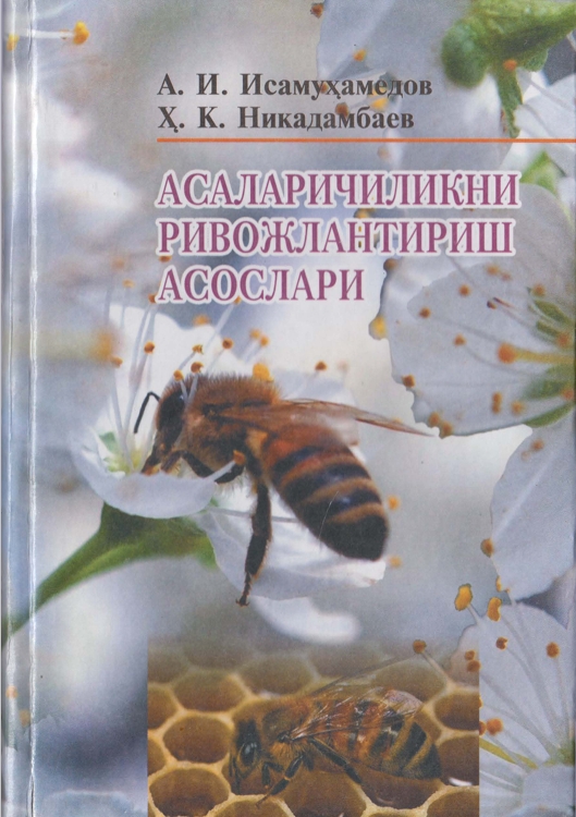 АСАЛАРИЧИЛИКНИ  РИВОЖЛАНТИРИШ  АСОСЛАРИ