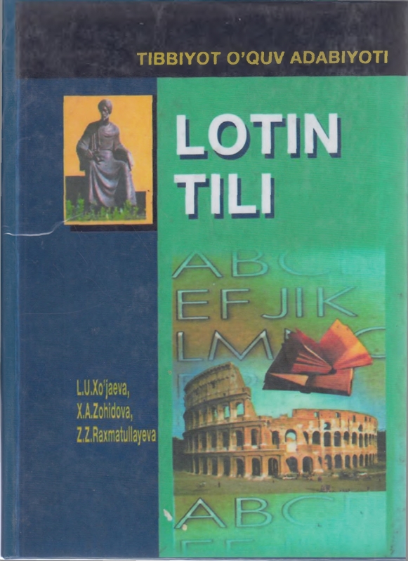 LOTIN TILI
